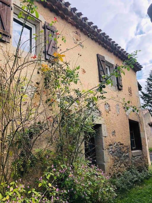 Jolie Maison De Caractere Proche De Castres